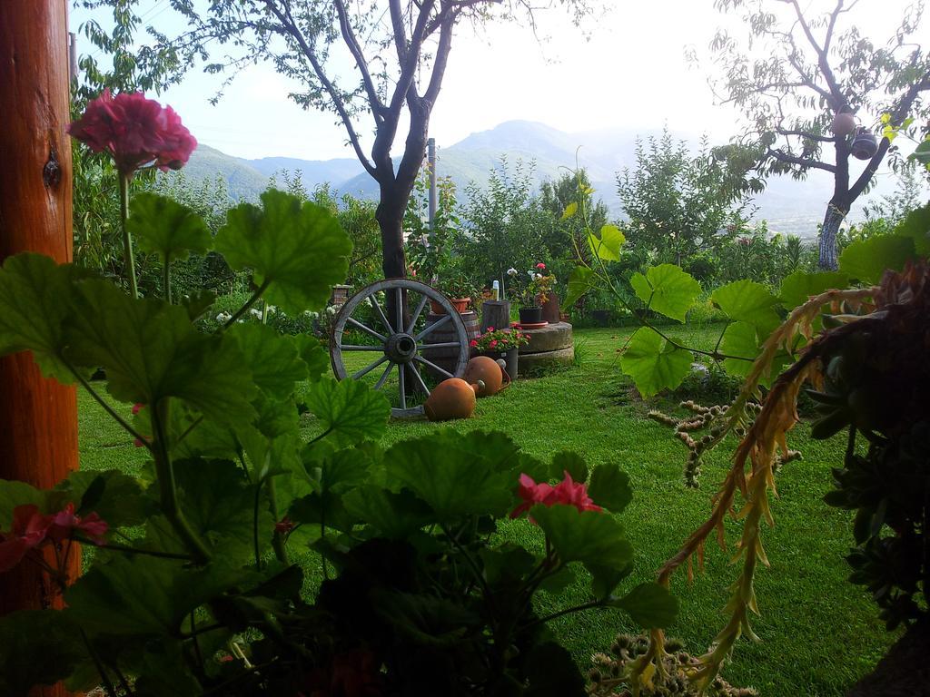 Къща За Гости Каза Роза - Swiss Style Chalet Casa Rosa Guest House Kyustendil Habitación foto
