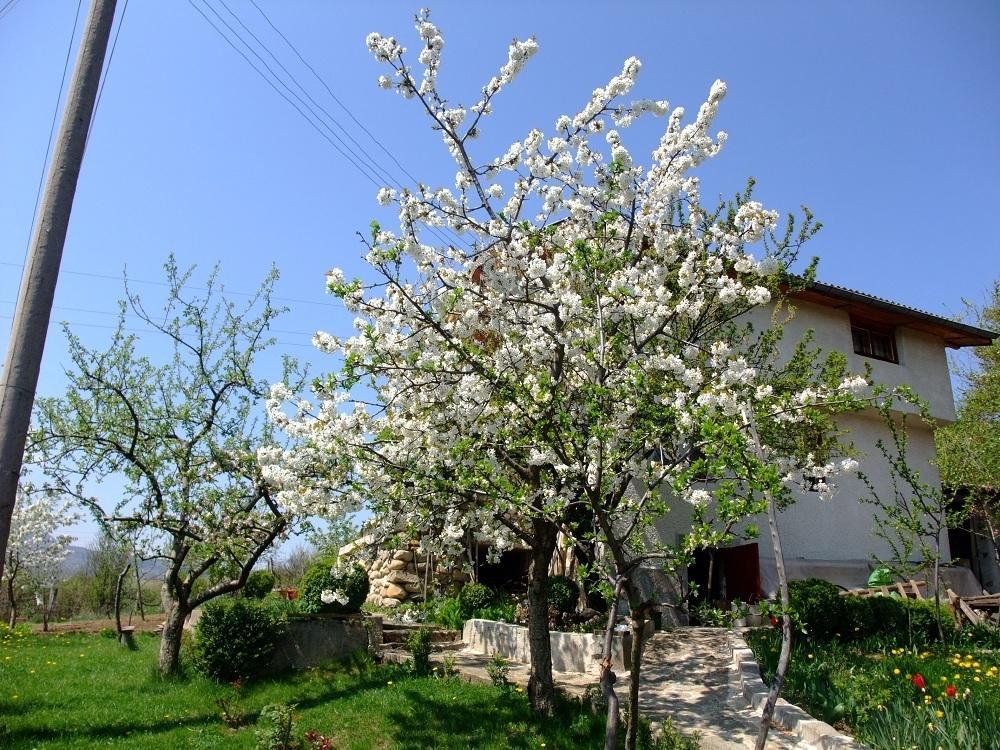 Къща За Гости Каза Роза - Swiss Style Chalet Casa Rosa Guest House Kyustendil Habitación foto